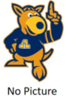 Ally Chioski